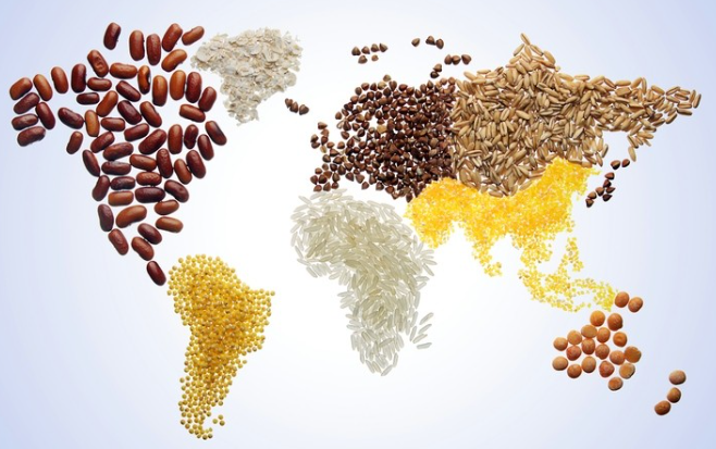 Seguridad Alimentaria