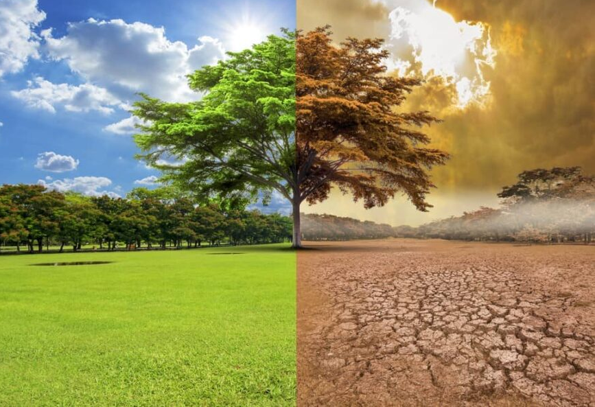 Clima